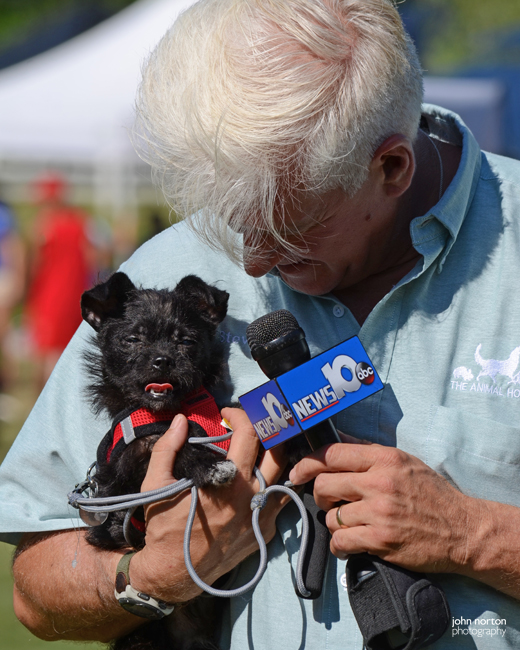 Pet Connection Pet Adoption Day - Capital District Humane Association