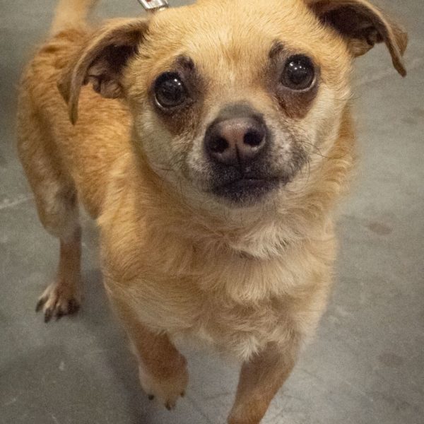 Maggie