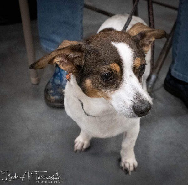 Brantley - Image 9