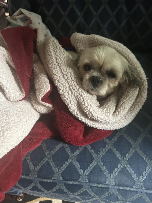 Oscar