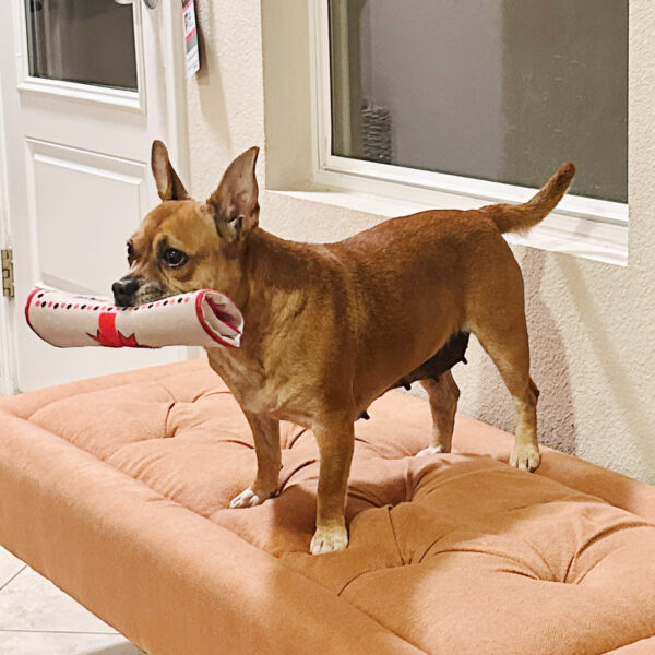 Maude - Image 6