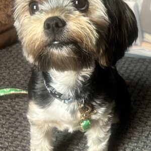 Josie