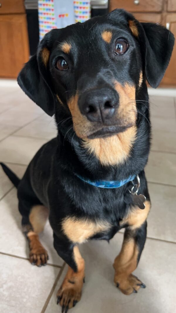 Winston