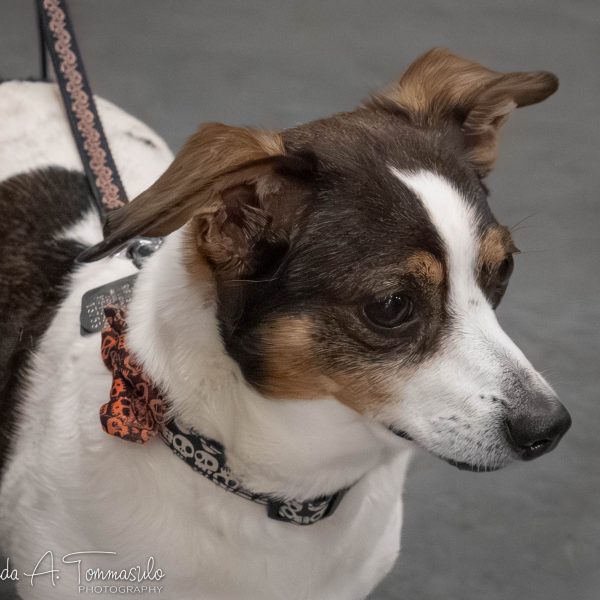 Brantley_P9130103