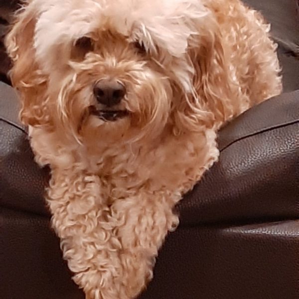 Sophie-20201116_191041