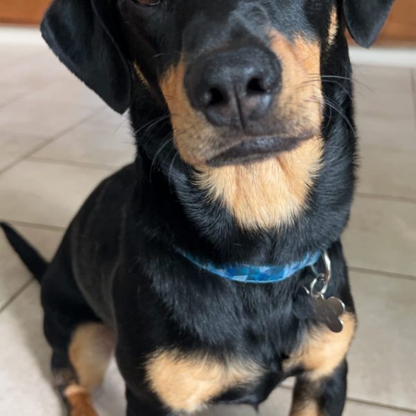 winston headshot